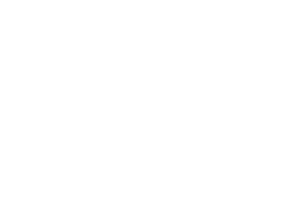 Gesticorp